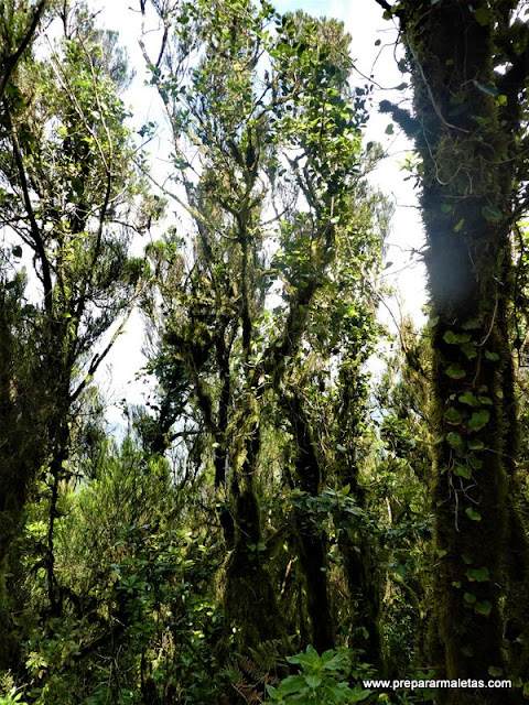 rutas de senderismo fácil en Anaga Tenerife