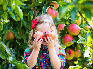 Benefits Of Apples For Kids