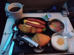 My costliest dinner on a plane.