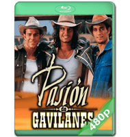 PASIÓN DE GAVILANES (2003) TEMPORADA 1 WEB-DL 480P HD MKV ESPAÑOL LATINO