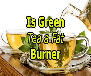 Is Green Tea a Fat Burner