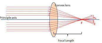 A diagram of a convex lens.