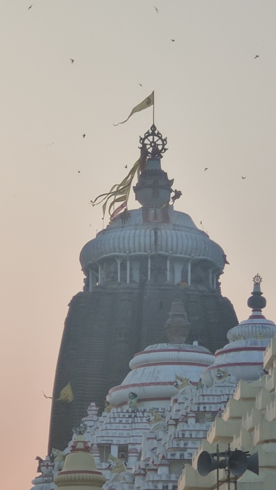 ಇಮೇಜ್