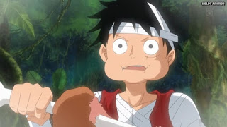 ワンピースアニメ ドレスローザ編 733話 ルフィ 修行 Monkey D. Luffy | ONE PIECE Episode 733