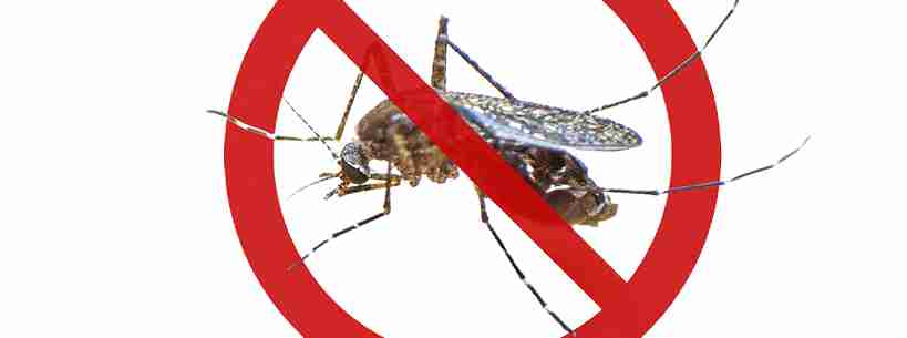 how is malaria prevented