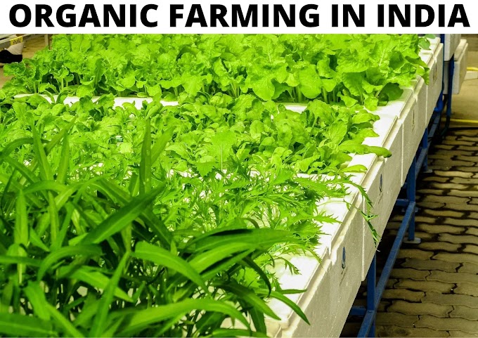 जैविक खेती के लाभ व  हानि | Organic farming meaning in hindi