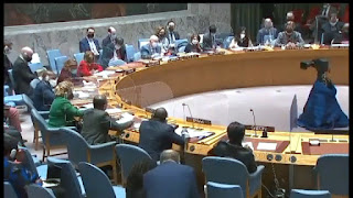 Ukraine Russia Crisis, UNSC meeting