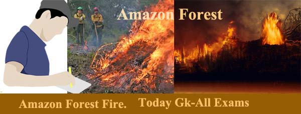 আমাজনে আগুন লাগার কারণ | Amazon Forest | Amazon Forest Fire.