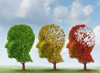Demencija (senilnost) odnosi se na širok dijapazon moždanih oboljenja koja uzrokuju dugoročne nemogućnosti razmišljanja, pamćenja, učenja i svakodnevnog komuniciranja i funkcionisanja u društvu. Smatra se kognitivno-mnestičkim poremećajem