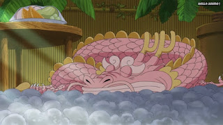 ワンピースアニメ ゾウ編 762話 光月モモの助 龍 | ONE PIECE Episode 762