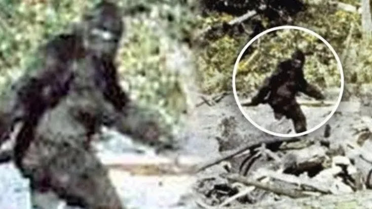 Οι ειδικοί επανεξέτασαν βίντεο με το Yeti και κατέληξαν στο συμπέρασμα ότι δεν επρόκειτο για έναν άντρα με στολή μαϊμούς