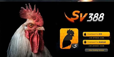 Sv388 Adu Ayam | Sabung Ayam Pw | Apk Login Sv388 | Judi Adu Ayam Online