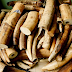 Vietname apreende sete toneladas de marfim proveniente de Angola