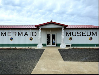 Upcoming Events At The International Mermaid Museum