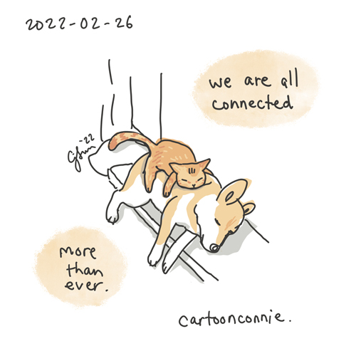 Single-panel drawing of a tabby cat resting on a shiba inu dog like a cozy pillow. Caption reads, "we are all connected - more than ever."  Titled "Cat Dog Connected." Digital sketchbook illustration by Connie Sun, cartoonconnie, 2022.