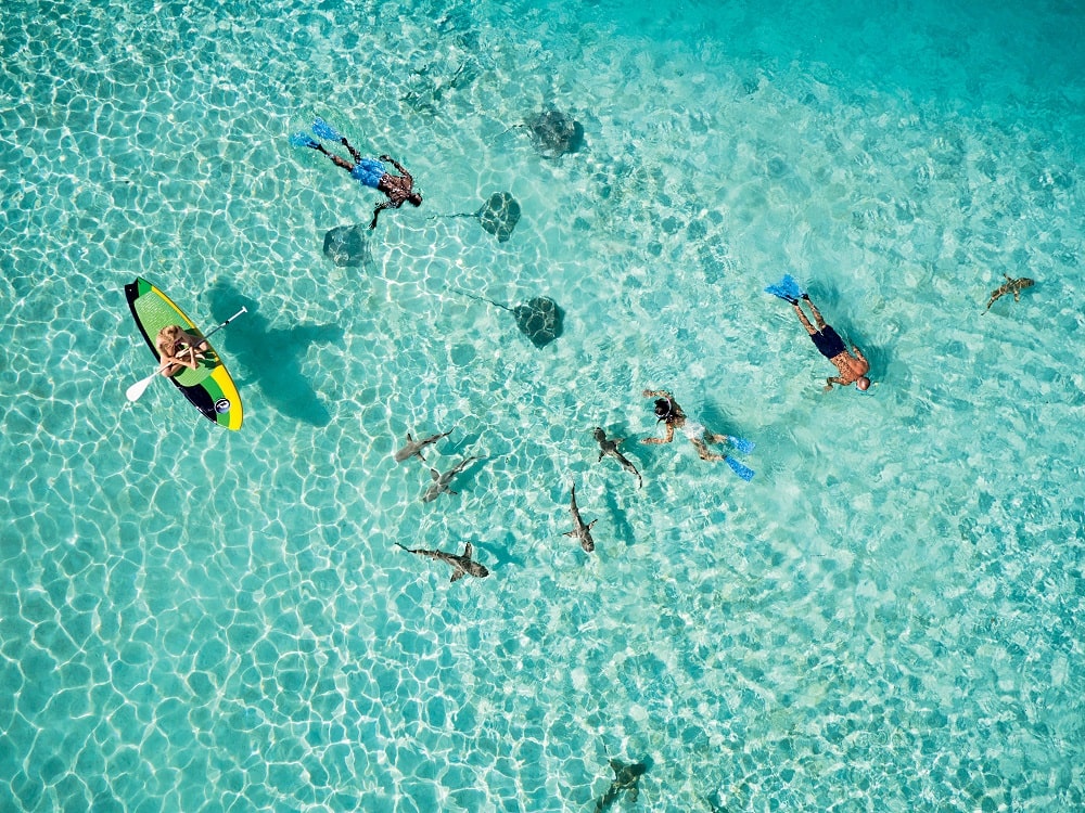 PONANT CRUISE LE PAUL GAUGUIN SHIP IN SOUTH PACIFIC