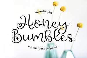 Honey Bumbles by Rachel White | Rachel White Art