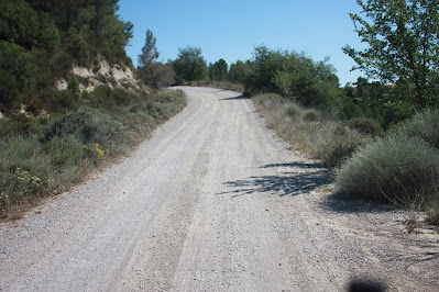 GR-7 BELLPRAT A JORBA (PONT DEL GANXO), Camí de Mas Jordà al terme municipal de Jorba