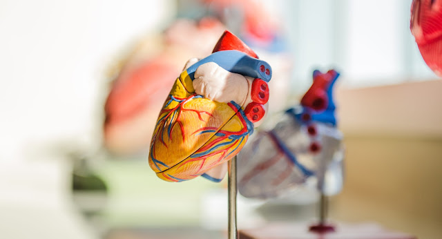ما هي أهم الأسباب التي تؤدي إلى زيادة ضربات القلب أو الخفقان