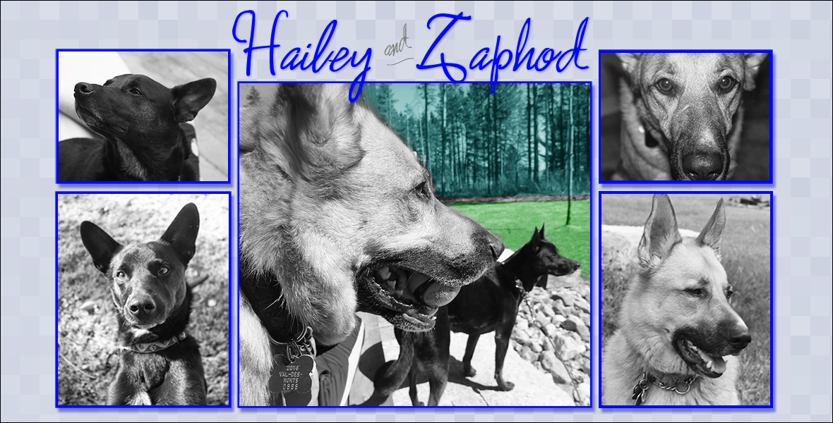 The Hailey and Zaphod Chronicles