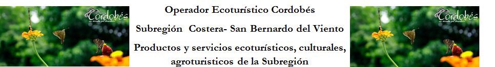 Subregión Costera- San Bernardo del Viento