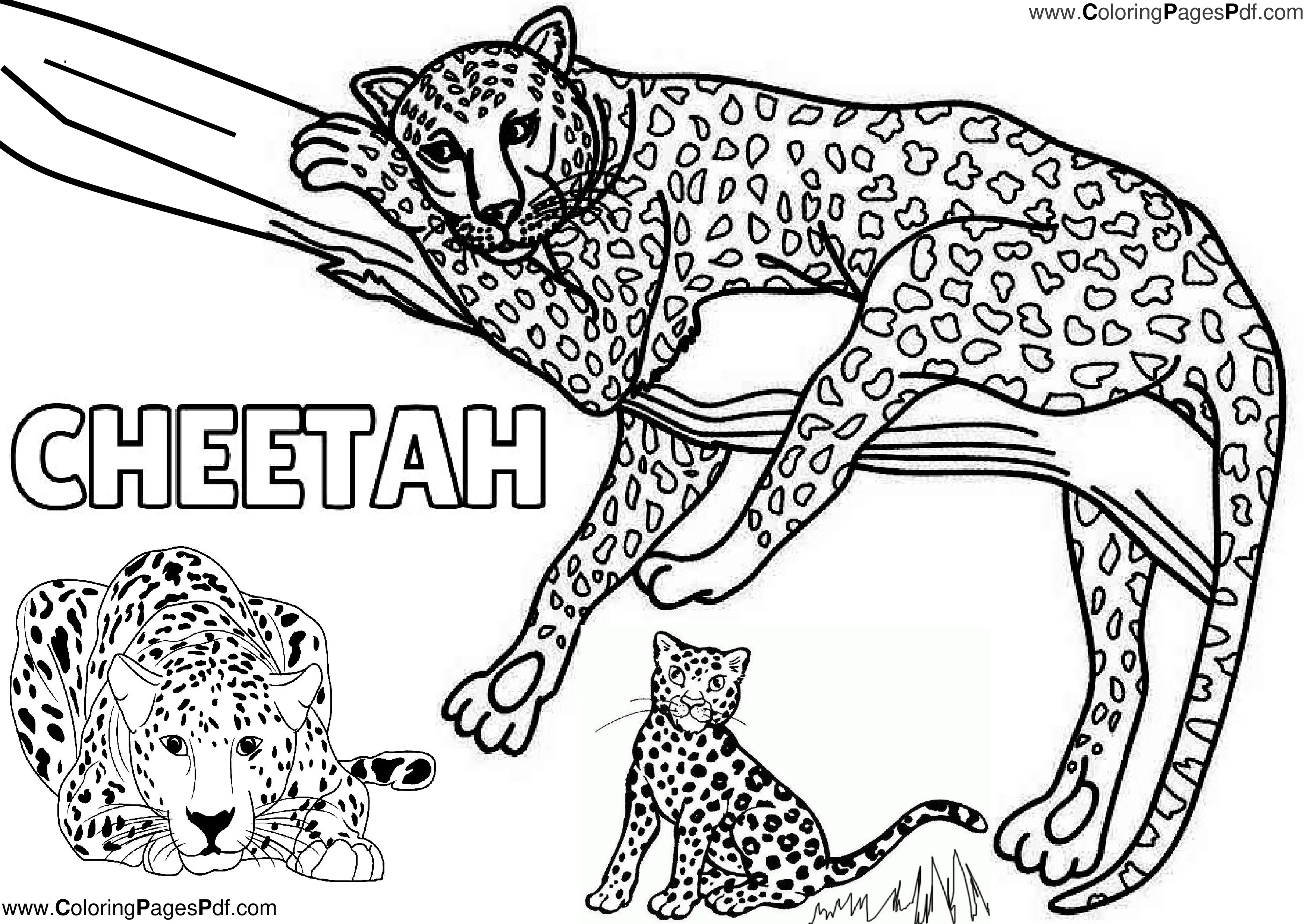 Cheetah coloring pages printable