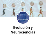 Evolución y Neurociencias. Blog de Pablo Malo