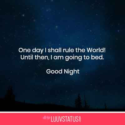 beautiful good night messages in english