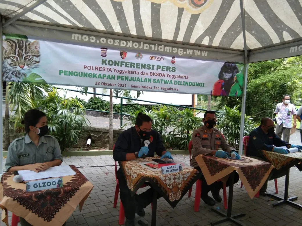 yogyakarta police press conference regarding trade of protected animal