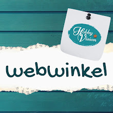 (Web)winkel HobbyVision