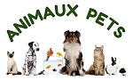 Animaux Pets In English