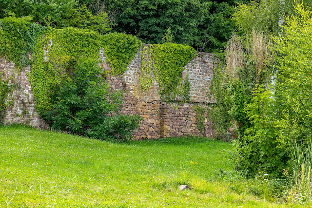 Abbaye de Marbach — Mur d'enceinte, côté ouest.