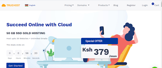 Truehost Reviews scam or Legit , For Domain name and website Hosting in Kenya