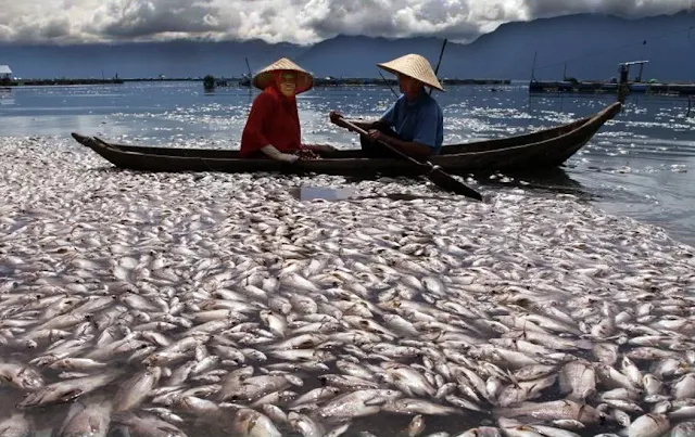 Danau Maninjau