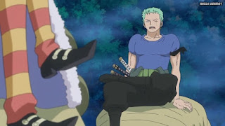 ワンピースアニメ ゾウ編 762話 ロロノア・ゾロ Roronoa Zoro  | ONE PIECE Episode 762