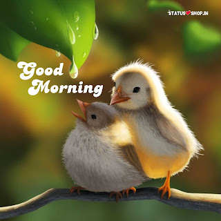 Lovely-Good-Morning-Images