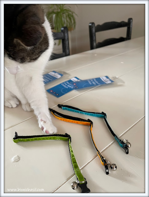 What's In The Box ©BionicBasil® Cool Cat Collars - Spearmint - Pistachio - Ginger Marmalade Velvet Collars with Melvyn