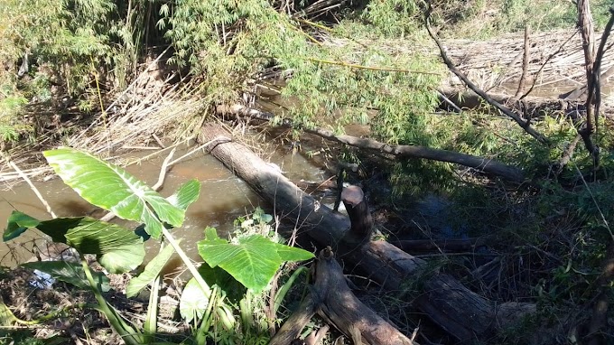 Operação conjunta de prevenção de alagamentos em Cachoeirinha e Canoas