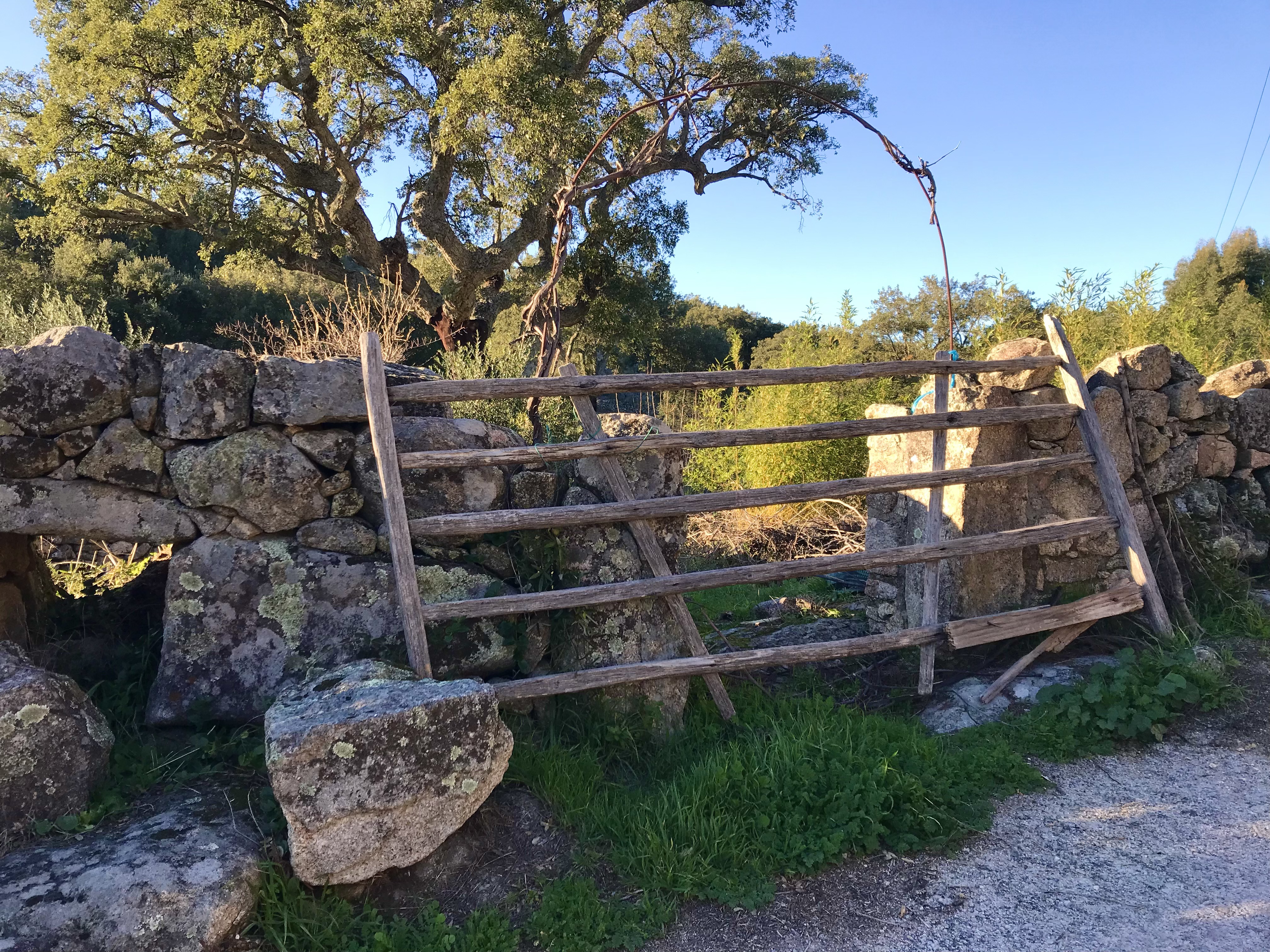 Marvão, Alentejo, Portugal, Serra de S. Mamede, PR2 MRV, Galegos, Trilho, Percurso pedestre