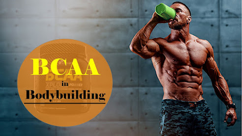 Role of bcaa in bodybuilding, Benefits of BCAA in bodybuilding