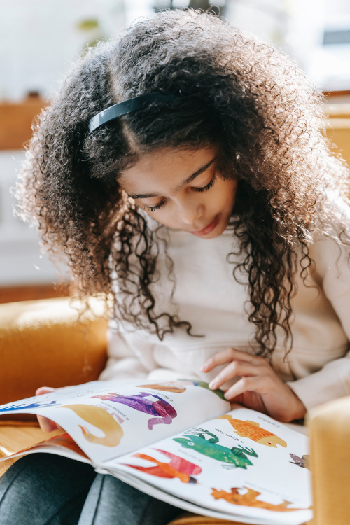 Girl looking at a book