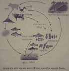 Advantages of integrated farming
