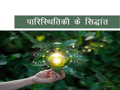 पारिस्थितिकीय सिद्धांत |Ecological Principles in Hindi