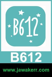 Download B612 for Android and iPhone with a direct link for free