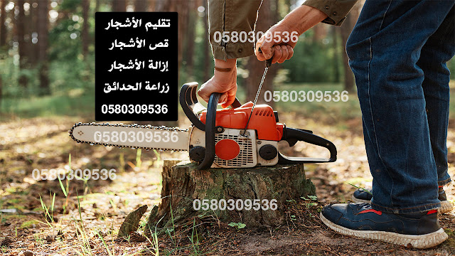 قص اشجار بالرياض