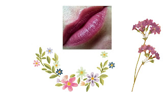 lip photo color