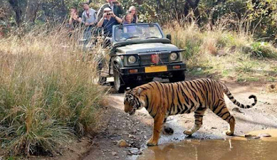 RANTHAMBHORE