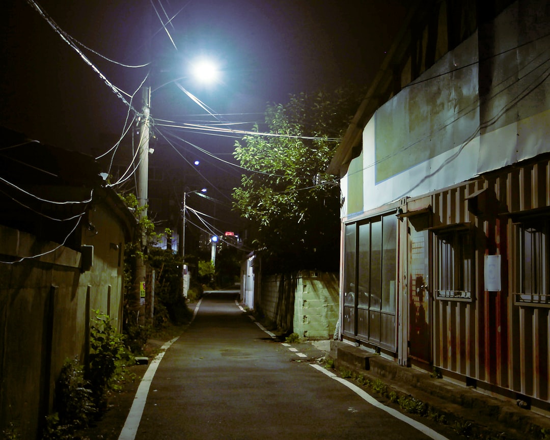記事関連画像