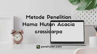 Metode Penelitian Hama Hutan Acacia crassicarpa