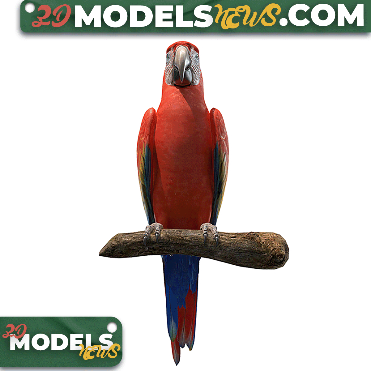 Red macaw model 3
